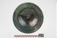 Foto von Bronzephalere (NHMW-PRAE-025835)